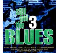 Muddy Waters - Still got the Blues 3