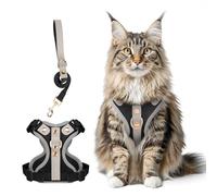 Muecleao Escape Proof Cat Harness and Leash Set, Premium Microfiber Leather Trim, Adjustable Reflective Vest Harness for Cats, Breathable No-Pull Kitten Harness with Soft Mesh (Black, XL)