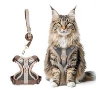 Muecleao Escape Proof Cat Harness and Leash Set, Premium Microfiber Leather Trim, Adjustable Reflective Vest Harness for Cats, Breathable No-Pull Kitten Harness with Soft Mesh (Dark Grey, M)
