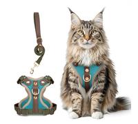 Muecleao Escape Proof Cat Harness and Leash Set, Premium Microfiber Leather Trim, Adjustable Reflective Vest Harness for Cats, Breathable No-Pull Kitten Harness with Soft Mesh (Blue + Army Green, M)