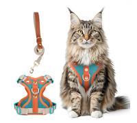 Muecleao Escape Proof Cat Harness and Leash Set, Premium Microfiber Leather Trim, Adjustable Reflective Vest Harness for Cats, Breathable No-Pull Kitten Harness with Soft Mesh (Lake Blue + Orange, XL)