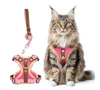 Muecleao Escape Proof Cat Harness and Leash Set, Premium Microfiber Leather Trim, Adjustable Reflective Vest Harness for Cats, Breathable No-Pull Kitten Harness with Soft Mesh (Rose Red, XL)
