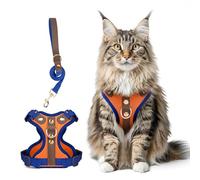 Muecleao Escape Proof Cat Harness and Leash Set, Premium Microfiber Leather Trim, Adjustable Reflective Vest Harness for Cats, Breathable No-Pull Kitten Harness with Soft Mesh (Orange + Blue, L)