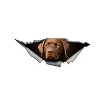MUEdie 13cm*5cm Labrador Decal Chocolate Retriever Decal Car Sticker 3D Graphic Vinyl Decal Car Window Laptop Car Sticker 1 Pcs