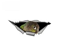 MUEdie 15cm*6cm 3D Sticker Decal Cute Parrot Conure Green Cheek Modification Waterproof Patch Scratches Cover Style