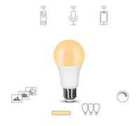 Mueller Light tint dimming LED bulb E27 9 W 2.700K