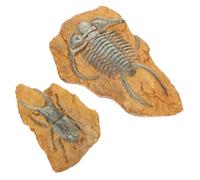 MUELODSIC 2Pcs Resin Fossil Reptile Box Ornaments Dark Atmosphere Decorative Terrarium Decors for Lizards Spiders Hamsters Stable Crawling Pet Landscape