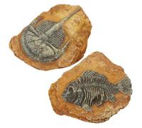 MUELODSIC 2Pcs Resin Fossil Terrarium Decors Realistic Reptile Box Ornaments Natural Texture Crawling Habitat Decorations for Gecko Snake Vivarium