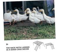 MUELODSIC 2pcs Rutin Chicken Platform with Ladder Farmhouse Chicken Rack for Coop and Pet Birds Wear-resistant Feeding and Resting Stand for Small Pets