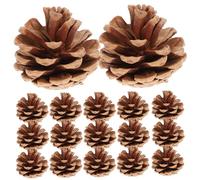 MUELODSIC 48pcs Natural Dried Pine Cones Assorted Christmas Hanging Ornaments Brown Pine Decor for Crafts Floral Arrangements and Festive Holiday Decorations