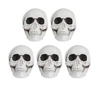 MUELODSIC 5Pcs Mini Skull Head Halloween Decoration Set, Realistic Small Plastic Skull Models, Tiny Skeleton Figurines for Haunted House, Halloween Party and Home Decor