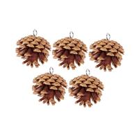 MUELODSIC 5Pcs Natural Pine Cone Bird Chew Hanging Parakeet Bird Cage Accessories for Small Parrots Budgies Conures Chewing Plaything