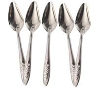 MUELODSIC 5Pcs Stainless Steel Bird Feeding Spoons Portable Parrot Milk Feeder Spoon for Cockatiels and Small to Medium Birds Easy to Clean Hand Feeding Tool
