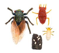 MUELODSIC Cicada Growth Model Simulation Cicada Decoration Lifelike Toy for Boys and Girls Education Display Craft