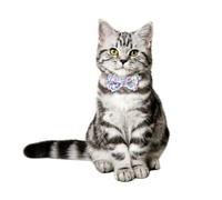 MUELODSIC Decorative Kitten Collar with Blue White Floral Bow Tie Adjustable Wide Pet Necklace for Cats and Small Dogs Lightweight Comfortable Holiday Party Accessory