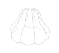 MUELODSIC DIY Iron Wire Lamp Shade Holder Frame Palace Inspired Classic Light Fixture Cage for Home Hotel Decoration Metal Wire Lamp Shade Frame for Stylish Lighting Crafting