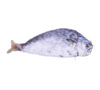 MUELODSIC Fish-Shaped Zipper Pen Pouch Capacity Funny Pencil Case with Salted Fish Design Multi-Functional Stationery Organizer for School Home Office