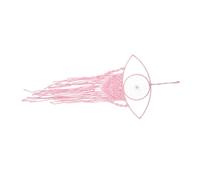 MUELODSIC Hand-woven Pink Evil Eye Macrame Tapestry with Tassels Turkish Style Wall Hanging Decor for Home Wedding Party and Photo Background Unique Bohemian Wall Art