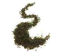 MUELODSIC Miniature Artificial Leaves for DIY Railway Landscape Realistic Textured Green Foliage for Model Diorama Fairy Garden Autumn Scenery Craft Bag for Creative Scene Building