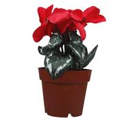 MUELODSIC Realistic Simulation Plant Bonsai Red Silk Flower Desktop Decoration Easy Care Fake Potted Plant Ornament for Home Office Japanese Style Table Adornment Vivid Artificial Bonsai