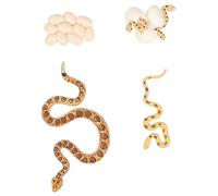 MUELODSIC Snake Growth Cycle Model for PVC Simulation Animal Figurines for Cognitive Learning Lightweight Educational Imitation Ornaments Safe Early Development Play Kit