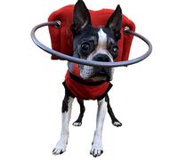 Muffin’s Halo® - The Original Blind Dog Halo | Harness & Bumper Collar Accessory for Safe Navigation & Confidence - Red, Size 6
