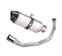 Muffler Exhaust For Ya&ma&ha For GY6 125CC 150cc 200CC Motorcycle Exhaust Full System Front Link Pipe With Double Hole Muffler Escape(Silver)