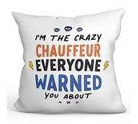 MUGFFINS CHAUFFEUR Cushion Padding included - in English - Everyone warned you about - Funny gift - Pillow: cover and filling 15.7x15.7 inches