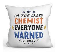 MUGFFINS CHEMIST Cushion Padding included - in English - Everyone warned you about - Funny gift - Pillow: cover and filling 15.7x15.7 inches