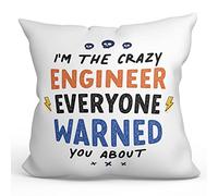 MUGFFINS ENGINEER Cushion Padding included - in English - Everyone warned you about - Funny gift - Pillow: cover and filling 15.7x15.7 inches