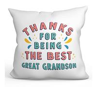 MUGFFINS GREAT GRANDSON Cushion Padding included - in English - Thanks for being the best - Funny gift - Pillow: cover and filling 15.7x15.7 inches