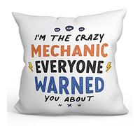 MUGFFINS MECHANIC Cushion Padding included - in English - Everyone warned you about - Funny gift - Pillow: cover and filling 15.7x15.7 inches