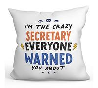 MUGFFINS SECRETARY Cushion Padding included - in English - Everyone warned you about - Funny gift - Pillow: cover and filling 15.7x15.7 inches
