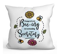 MUGFFINS SECRETARY Cushion Padding included - in English - Thanks For Beeing Amazing - Funny gift - Pillow: cover and filling 15.7x15.7 inches