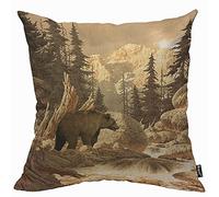 Mugod Grizzly Bear Cushion Cover Throw Pillow Covers Animal Wilderness Brook Canyon Mountain Nature Yellowstone Pillow Case for Men Women Decorative Home Sofa Chair Couch 45x45cm/18x18 Inch