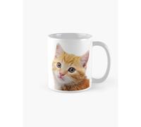 Mugs 11oz Im Alan Partridge Alan and Cat Mug Coffee Ceramic Mug Funny Anniversary Novelty Christmas Gift