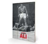 Muhammad Ali Wooden Wall Art, Multicoloured, 40 x 59 cm