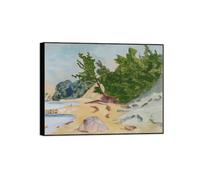 MUHJDYC Erich Heckel Famous Art Poster-Black Frame Canvas Print Picture Reproduction-Wall Painting for Room Home Decor(Beach Landscape) 80x105cm-31x41in