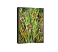 MUHJDYC Marianne North Wall Art Famous Poster-Canvas Picture-Prints for Living Room-Paintings Reproduction(Orchid 2) 70x100cm-27x39in Black Frame