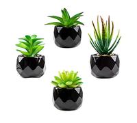 MukMlon Artificial Indoor Plant, Fake Succulent, Simulation Plant in Succulent Pot, Mini Black Ceramic, Small Fake Plant for Office Decoration, Home Decoration (4 Pieces), Green / Black (duorou 4p)