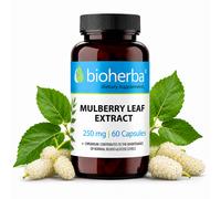 Mulberry Leaf Extract with Chromium Blood Sugar Level Support 60 Caps