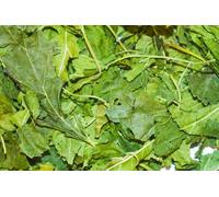 Mulberry Leaves Food for Shrimp Snails Plecos Nerites Ramshorns 40g