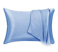 Mulberry Silk Pillowcase 2 Pack for Hair and Skin,with Hidden Zipper.Both Sides 19 Momme Allergen Proof Soft Breathable Smooth Silk Pillow Cover (Standard, Air Blue)