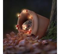 Muldale Hedgehog Garden Ornament Solar Light - Hand Painted Light Up Plant Pot Statue - Great for Outdoor Decor - Gift Boxed - 14.8cm - Hamish