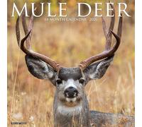 Mule Deer 2026 12 X 12 Wall Calendar
