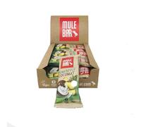 MULEBAR - Box of 15 Energy Bars - Pineapple Coconut Goji Berries - Antioxidant - Rich in Fiber - Anti-Inflammatory - Easy to Digest - 100% Natural, Vegan - Made in France - 40gr