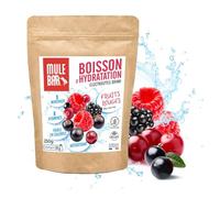 MULEBAR - Powdered Hydration Drink - Red Berries - Antioxidant - 8 Vitamins - 5 Minerals - Electrolytes - Very Low Sugar Taste - Easy to Digest - Made in France - 250gr