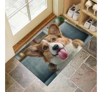 MULERN Doormat Washable Cute Animal Door Mats for Entrance Non-Slip Welcome Doormat, Rubber Backing Playful Pug Printed Pattern Kitchen Mats Bathmat Brown White, 80x120cm