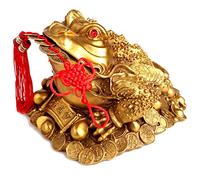 MULHUE Brass Feng Shui Money Frog (Three Legged Wealth Frog or Money Toad) Statue + Set of 5 Lucky Charm Ancient Coins on Red String,Feng Shui Decor