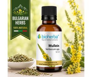 Mullein Leaf Liquid Extract Herbal Tincture Immune System Support 50ml